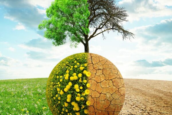 TRIMANE s'engage pour le climat